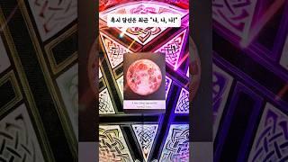 돼지띠여러분, 불타오르는 '양자리 만월'! 격정의 클라이맥스 속, 겸손과 친절로 운명을 바꾸세요! #인사동사주카페 #돼지띠 #타로 #tarot