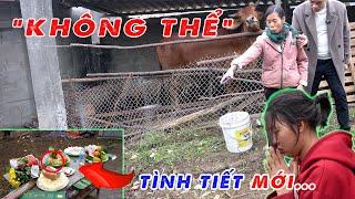 Chấn Động! Tin Mới Nhất Về Vụ Xây Chuồng Bò Trên Mộ Vô Danh Khiến Đạt Không Dám Tự Ý Can Thiệp