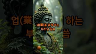 업(業)을 맑게 하는 부처님의 말씀