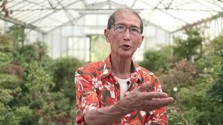 Peter Chan Interview - Bonsai Documentary Segment