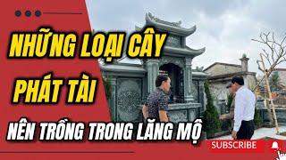 Trồng Cây Phong Thủy Ở Khu Lăng Mộ Đá - Gia Chủ Giàu Sang Phú Quý