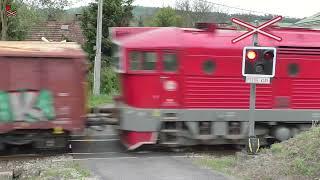 Železniční přejezd Dolní Habartice #2 [P2591] - 7.5.2024 / Czech railroad crossing