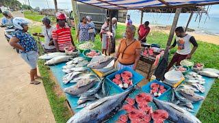 Wow!! Village Super ASMR Satisfying Fish Cutting Skills In Sri lankan Fish Market