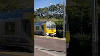 The set FP4126 at Pukerua bay