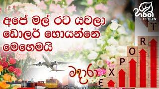 ලෝකෙට යන අපේ මල්   | Omega Green (Pvt) Ltd | මදාරා | Madhara