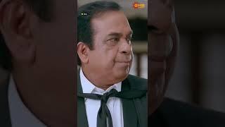 Brahmanandam Style | MLA | Kalyan Ram | Kajal Agarwal | Telugu Comedy scene