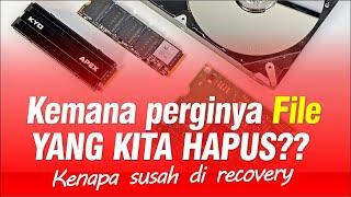 ternyata begini alur DATA yang kita hapus sampai kita RECOVERY