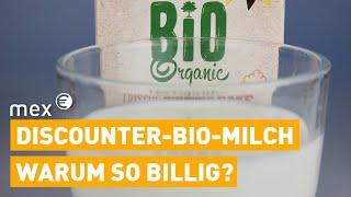 Bio-Milch zum Dumpingpreis– Was hinter den günstigen Angeboten beim Discounter steckt | mex