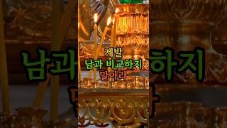 지금의 어둠은 사라질 빛을 준비하는 시간 | 자신을 탓하지 말고, 자신을 안아주어라 | 삶은 경주가 아니라 순례다