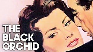 The Black Orchid | Classic Drama Film | Anthony Quinn | Romantic Film