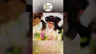 Allama Khadim Hussain Rizvi Status | TLP WhatsApp Status TLP Shorts