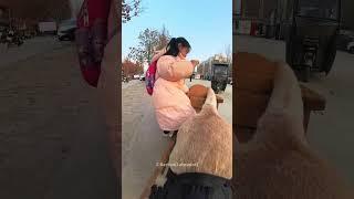 Loyal Dog Surprises His Owner