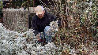 Might’ve Blacked Out During Mid-Winter Clean-up 🫣|| Visit Our Garden