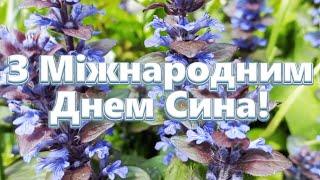 З Міжнародним днем синів! З Днем синів! 22 листопада Міжнародний День Синів!