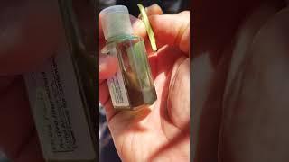 Grafting My First T Bud Graft To A Peach Tree From Seed I Started Seven Years Ago. #gardening