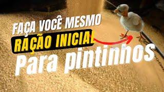 RAÇÃO PARA PINTINHOS (RAÇÃO INICIAL)- FAÇA VOCÊ MESMO E TENHA ECONOMIA.