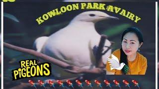 KOWLOON PARK AVAIRY @tsimshatsui1423 Hk #susan g16 vlog adventure