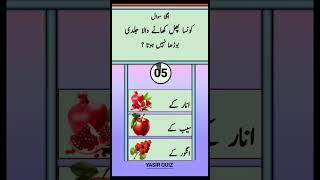 Common Sense Islamic Paheliyan in Urdu/ Hindi |islamic top Knowledge 2024 islamic sawal jawab #islam