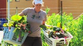 An Urban Farmer in the City