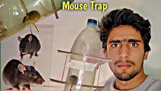 Make Water Bottle Mouse / Mouse Trap Homnemade /Rat Trap | How To /Rat Trap / mouse trap