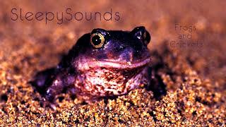 Frogs and Crickets – 9 Hour Soundscape of peaceful, relaxing, nature sounds – Fall Asleep Easy