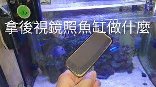 拿後視鏡照魚缸做什麼