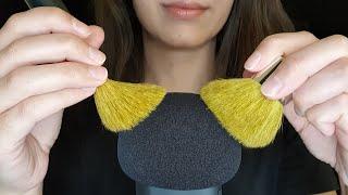 ASMR | Regular & fast mic brushing | Get your ears brushed! Intense sounds | NO TALKING