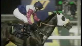 South African Horse Racing Documentary- Part 1