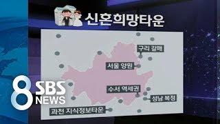 신혼부부·청년층 내 집 마련하려면 이렇게 / SBS