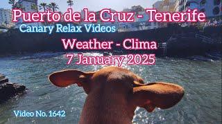 Tenerife ️ Puerto de la Cruz Morning Weather 7 January 2025 Teneriffa