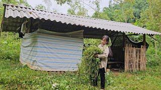 Orphan cleans up abandoned house to make safe haven