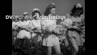 1941 - Women pick daffodils in Sumner, Washington