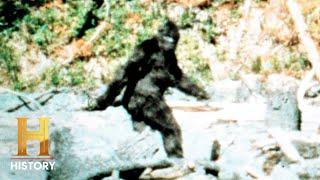 Hunting Bigfoot: Uncovering the Elusive Truth (S4) | History's Greatest Mysteries