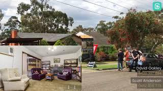 Buckingham & Company Estate Agents   12 Plenty Lane, Greensborough, VIC Highlight Package