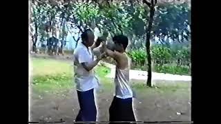 Shanghai  Taijiquan style Wu  Master Fei Guo Qing  Pushing hands  Part 2