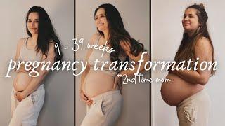 PREGNANCY TRANSFORMATION | tracking belly growth from week 9 to 39 with my second baby