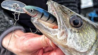 Trolling Cranks for Shallow Spring Walleye