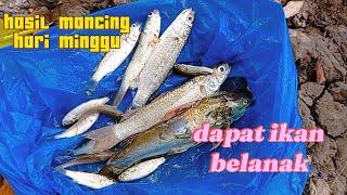 mancing ikan belanak di spot baru ‼️@CAHBEJOCILACAP998