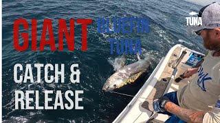 Jumbo Bluefin Tuna C&R Cri Cri Style. Tuna paradise - Stand Up Fight con la buena vibra Argentina