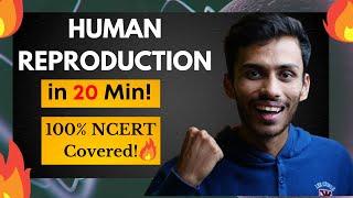 Human Reproduction FAST One SHOT!| Full Revision in 20 Min | Class 12 | NEET