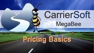 MegaBee Auto Transport Software - Pricing Basics