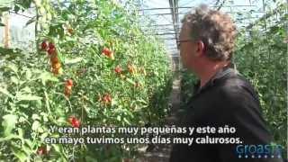 How to grow vegetables with less water with the Groasis Technology?