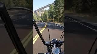 Pacific North West - Harley Davidson StreetBob #shorts