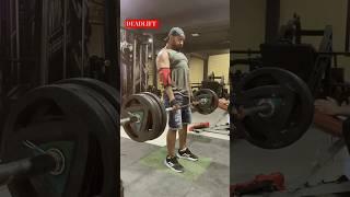 DEADLIFT| FULL BACK WORKOUT SERIES| FITNESS ADDA GYM| #fitnessaddict #deadlift #gym #fitness