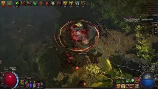 NATURES RESILIENCE PROPHECY Gameplay in PATH OF EXILE