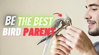 The Key to Being the BEST Bird Parent!