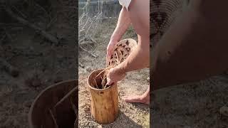Paleo Trail Cakes [full video ↑]