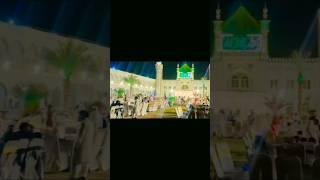 Saifi mehfil brand view