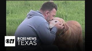 Denton County couple seeks justice after dog’s euthanasia sparks outcry