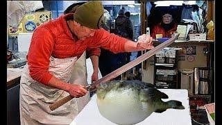 Puffer Fish, Cutting and Processing, Seafood in Japan.